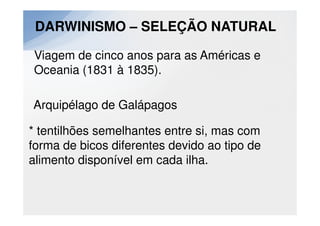 DARWINISMO – SELEÇÃO NATURAL

Viagem de cinco anos para as Américas e
Oceania (1831 à 1835).

Arquipélago de Galápagos

* tentilhões semelhantes entre si, mas com
forma de bicos diferentes devido ao tipo de
alimento disponível em cada ilha.
 