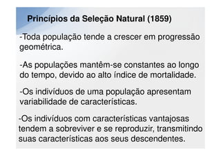 Princípios da Seleção Natural (1859)

-Toda população tende a crescer em progressão
geométrica.

-As populações mantêm-se constantes ao longo
do tempo, devido ao alto índice de mortalidade.
-Os indivíduos de uma população apresentam
variabilidade de características.

-Os indivíduos com características vantajosas
tendem a sobreviver e se reproduzir, transmitindo
suas características aos seus descendentes.
 