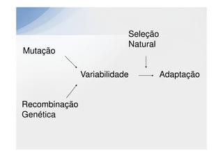 Seleção
                           Natural
Mutação

               Variabilidade         Adaptação


Recombinação
Genética
 