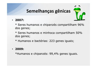 Semelhanças gênicas
• 2007:
 * Seres humanos e chipanzés compartilham 96%
 dos genes;
 * Seres humanos e minhoca compartilham 50%
 dos genes;
 * Humanos e bactérias: 223 genes iguais;

• 2009:
 *Humanos e chipanzés: 99,4% genes iguais.
 
