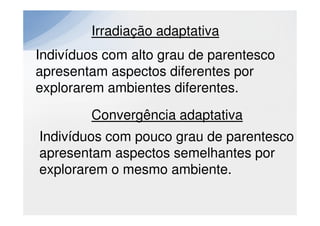 Irradiação adaptativa
Indivíduos com alto grau de parentesco
apresentam aspectos diferentes por
explorarem ambientes diferentes.
        Convergência adaptativa
Indivíduos com pouco grau de parentesco
apresentam aspectos semelhantes por
explorarem o mesmo ambiente.
 