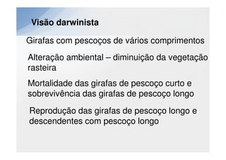 Visão darwinista

Girafas com pescoços de vários comprimentos
Alteração ambiental – diminuição da vegetação
rasteira
Mortalidade das girafas de pescoço curto e
sobrevivência das girafas de pescoço longo
Reprodução das girafas de pescoço longo e
descendentes com pescoço longo
 