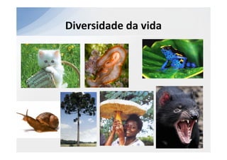 Diversidade da vida
 