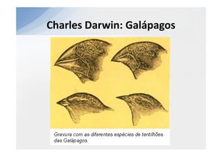 Charles Darwin: Galápagos
 