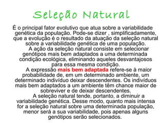 Seleção Natural
É o principal fator evolutivo que atua sobre a variabilidade
genética da população. Pode-se dizer , simplificadamente,
que a evolução é o resultado da atuação da seleção natural
sobre a variabilidade genética de uma população.
A ação da seleção natural consiste em selecionar
genótipos mais bem adaptados a uma determinada
condição ecológica, eliminando aqueles desvantajosos
para essa mesma condição.
A expressão mais bem adaptada refere-se à maior
probabilidade de, em um determinado ambiente, um
determinado indivíduo deixar descendentes. Os indivíduos
mais bem adaptados a um ambiente têm chance maior de
sobreviver e de deixar descendentes.
A seleção natural tende, portanto, a diminuir a
variabilidade genética. Desse modo, quanto mais intensa
for a seleção natural sobre uma determinada população,
menor será a sua variabilidade, pois apenas alguns
genótipos serão selecionados.

 