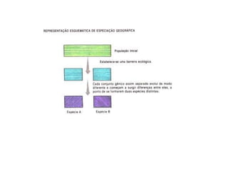 Evolução biológica