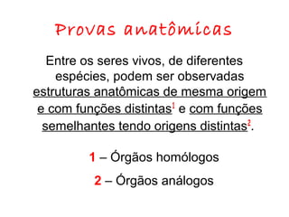 Provas anatômicas
Entre os seres vivos, de diferentes
espécies, podem ser observadas
estruturas anatômicas de mesma origem
e com funções distintas1 e com funções
semelhantes tendo origens distintas 2.
1 – Órgãos homólogos
2 – Órgãos análogos

 