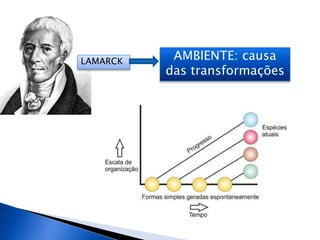 LAMARCK AMBIENTE: causa
das transformações
 