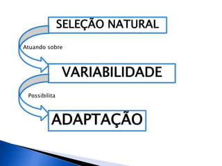 SELEÇÃO NATURAL
Atuando sobre
VARIABILIDADE
Possibilita
ADAPTAÇÃO
 