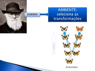 DARWIN
AMBIENTE:
seleciona as
transformações
 