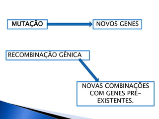 MUTAÇÃO NOVOS GENES
RECOMBINAÇÃO GÊNICA
NOVAS COMBINAÇÕES
COM GENES PRÉ-
EXISTENTES.
 