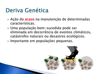  Ação do acaso na manutenção de determinadas
características.
 Uma população bem-sucedida pode ser
eliminada em decorrência de eventos climáticos,
catástrofes naturais ou desastres ecológicos.
 Importante em populações pequenas.
 
