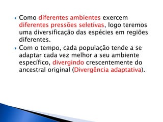  Como diferentes ambientes exercem
diferentes pressões seletivas, logo teremos
uma diversificação das espécies em regiões
diferentes.
 Com o tempo, cada população tende a se
adaptar cada vez melhor a seu ambiente
específico, divergindo crescentemente do
ancestral original (Divergência adaptativa).
 
