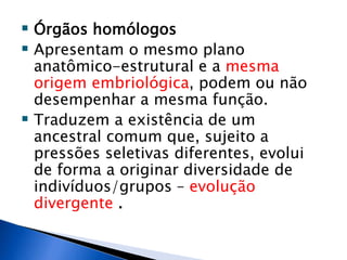  Órgãos homólogos
 Apresentam o mesmo plano
anatômico-estrutural e a mesma
origem embriológica, podem ou não
desempenhar a mesma função.
 Traduzem a existência de um
ancestral comum que, sujeito a
pressões seletivas diferentes, evolui
de forma a originar diversidade de
indivíduos/grupos – evolução
divergente .
 