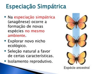  Na especiação simpátrica
(anagênese) ocorre a
formação de novas
espécies no mesmo
ambiente.
 Explorar novo nicho
ecológico.
 Seleção natural a favor
de certas características.
 Isolamento reprodutivo.
Especiação Simpátrica
 