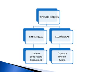 TIPOS DE ESPÉCIES
SIMPÁTRICAS
Siriema
Lobo-guará
Sussuarana
ALOPÁTRICAS
Capivara
Pinguim
Girafa
 
