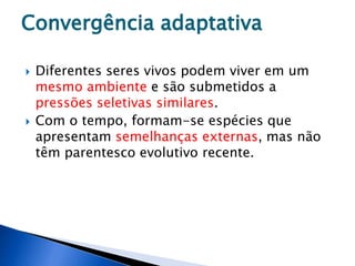 Convergência adaptativa
 Diferentes seres vivos podem viver em um
mesmo ambiente e são submetidos a
pressões seletivas similares.
 Com o tempo, formam-se espécies que
apresentam semelhanças externas, mas não
têm parentesco evolutivo recente.
 