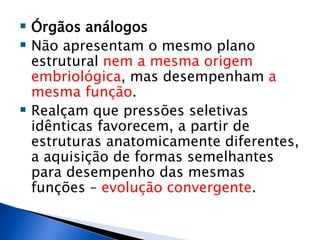 Órgãos análogos
 Não apresentam o mesmo plano
estrutural nem a mesma origem
embriológica, mas desempenham a
mesma função.
 Realçam que pressões seletivas
idênticas favorecem, a partir de
estruturas anatomicamente diferentes,
a aquisição de formas semelhantes
para desempenho das mesmas
funções – evolução convergente.
 