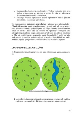 • Inadequação Anatômica (morfológica)- Todo o indivíduo e/ou seus
órgãos reprodutivos se alteram a ponto de não se adequarem
fisicamente à ocorrência do ato sexual.
• Mudança no ciclo reprodutivo- Ciclos reprodutivos não se ajustam,
impedindo o sucesso da reprodução.
Em outros casos o isolamento reprodutivo é atingido após a fecundação -
Pós-zigótico - onde o desenvolvimento do zigoto é inviável, ou se ocorrer
esse desenvolvimento a progênie pode ser frágil e morrer rapidamente ou
ainda ser infértil. Essa falta de sucesso na reprodução configura uma
alteração importante na carga gênica dos envolvidos, a ponto de ocasionar
a falta de estabilização necessária na(s) formação(ões) do(s) novo(s)
indivíduo(s) gerado(s)- Inviabilidade da progênie - Infertilidade da prole,
portanto aqueles que geraram o indivíduo não são da mesma espécie.
COMO OCORRE A ESPECIAÇÃO?
1- Surge um isolamento geográfico em uma determinada região, como um
rio.
2- A região inicialmente única está agora separada em duas sub-regiões,
cada uma com condições diferentes. As mutações acontecem nos
10
 