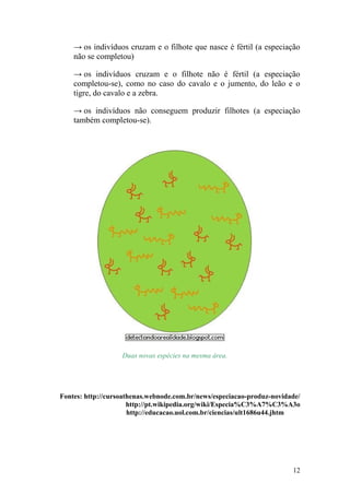→ os indivíduos cruzam e o filhote que nasce é fértil (a especiação
não se completou)
→ os indivíduos cruzam e o filhote não é fértil (a especiação
completou-se), como no caso do cavalo e o jumento, do leão e o
tigre, do cavalo e a zebra.
→ os indivíduos não conseguem produzir filhotes (a especiação
também completou-se).
Duas novas espécies na mesma área.
Fontes: http://cursoathenas.webnode.com.br/news/especiacao-produz-novidade/
http://pt.wikipedia.org/wiki/Especia%C3%A7%C3%A3o
http://educacao.uol.com.br/ciencias/ult1686u44.jhtm
12
 