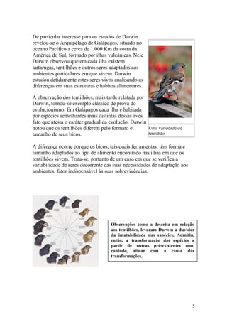 De particular interesse para os estudos de Darwin
revelou-se o Arquipélago de Galápagos, situado no
oceano Pacífico a cerca de 1.000 Km da costa da
América do Sul, formado por ilhas vulcânicas. Nele
Darwin observou que em cada ilha existem
tartarugas, tentilhões e outros seres adaptados aos
ambientes particulares em que vivem. Darwin
estudou detidamente estes seres vivos analisando as
diferenças em suas estruturas e hábitos alimentares.
A observação dos tentilhões, mais tarde relatada por
Darwin, tornou-se exemplo clássico de prova do
evolucionismo. Em Galápagos cada ilha é habitada
por espécies semelhantes mais distintas dessas aves
fato que atesta o caráter gradual da evolução. Darwin
notou que os tentilhões diferem pelo formato e
tamanho de seus bicos.
A diferença ocorre porque os bicos, tais quais ferramentas, têm forma e
tamanho adaptados ao tipo de alimento encontrado nas ilhas em que os
tentilhões vivem. Trata-se, portanto de um caso em que se verifica a
variabilidade de seres decorrente das suas necessidades de adaptação aos
ambientes, fator indispensável às suas sobrevivências.
Uma variedade de
tentilhão
5
Observações como a descrita em relação
aos tentilhões, levaram Darwin a duvidar
da imutabilidade das espécies. Admitiu,
então, a transformação das espécies a
partir de outras pré-existentes sem,
contudo, atinar com a causa das
transformações.
 
