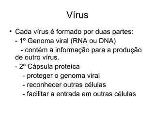 Vírus
• Cada vírus é formado por duas partes:
  - 1º Genoma viral (RNA ou DNA)
    - contém a informação para a produção
  de outro vírus.
  - 2º Cápsula proteíca
     - proteger o genoma viral
     - reconhecer outras células
     - facilitar a entrada em outras células
 