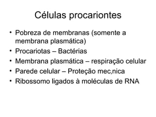 Células procariontes
• Pobreza de membranas (somente a
  membrana plasmática)
• Procariotas – Bactérias
• Membrana plasmática – respiração celular
• Parede celular – Proteção mecânica
• Ribossomo ligados à moléculas de RNA
 