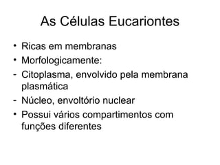 As Células Eucariontes
• Ricas em membranas
• Morfologicamente:
- Citoplasma, envolvido pela membrana
  plasmática
- Núcleo, envoltório nuclear
• Possui vários compartimentos com
  funções diferentes
 