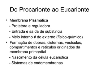 Do Procarionte ao Eucarionte
• Membrana Plasmática
  - Protetora e reguladora
  - Entrada e saída de substância
  - Meio interno ≠ do externo (físico-químico)
• Formação de dobras, cisternas, vesículas,
  compartimentos e retículos originados da
  membrana primordial
  - Nascimento da célula eucariótica
  - Sistemas de endomembranas
 