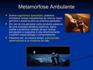 Metamorfose Ambulante
   Somos organismos aprendizes, podemos
    incorporar nossas experiências de vida ao nosso
    genoma e passá-la para as próximas gerações.
   Em vez de nos perceber como produtos passivos
    de uma evolução aleatória podemos, agora,
    aceitar a poderosa verdade de que nossas
    percepções e respostas à vida dinamicamente
    modelam nossa biologia e comportamento.
   Podemos ser, ao mesmo tempo, participantes,
    observadores e co-criadores da vida.
 