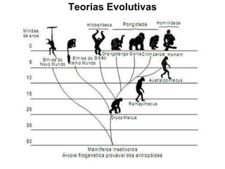 Teorias Evolutivas 