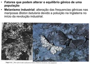 Fatores que podem alterar o equilíbrio gênico de uma população Melanismo industrial : alteração das frequencias gênicas nas mariposas  Biston betularia  devido a poluição na Inglaterra no início da revolução industrial.  