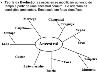 Teoria da Evolução:  as espécies se modificam ao longo do tempo,a partir de uma ancestral comum.  Se adaptam as condições ambientais. Embasada em fatos científicos 