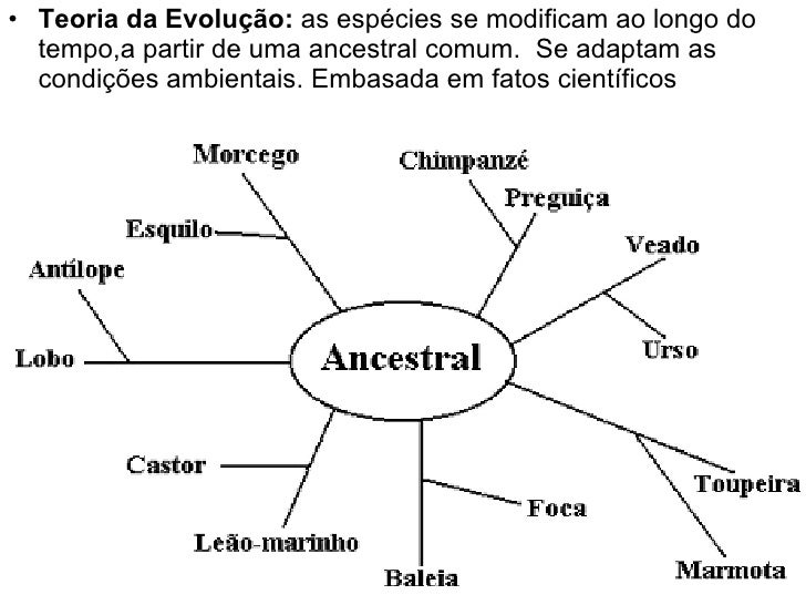 Curso evolucao