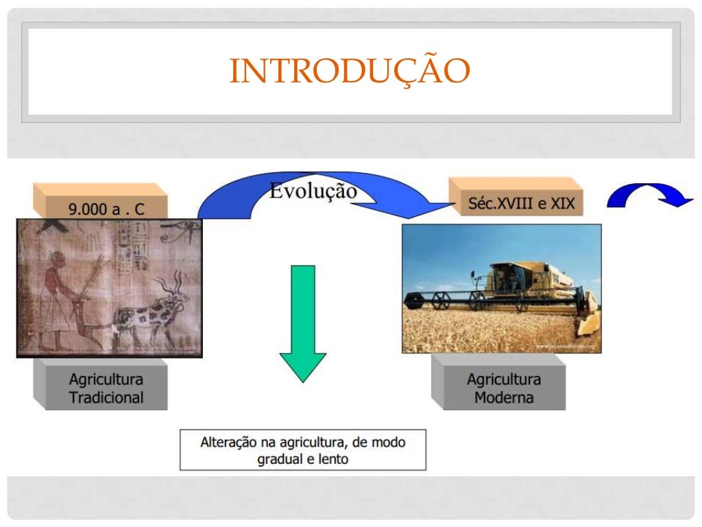 O Que A Agricultura Proporcionou Aos Homens - FDPLEARN