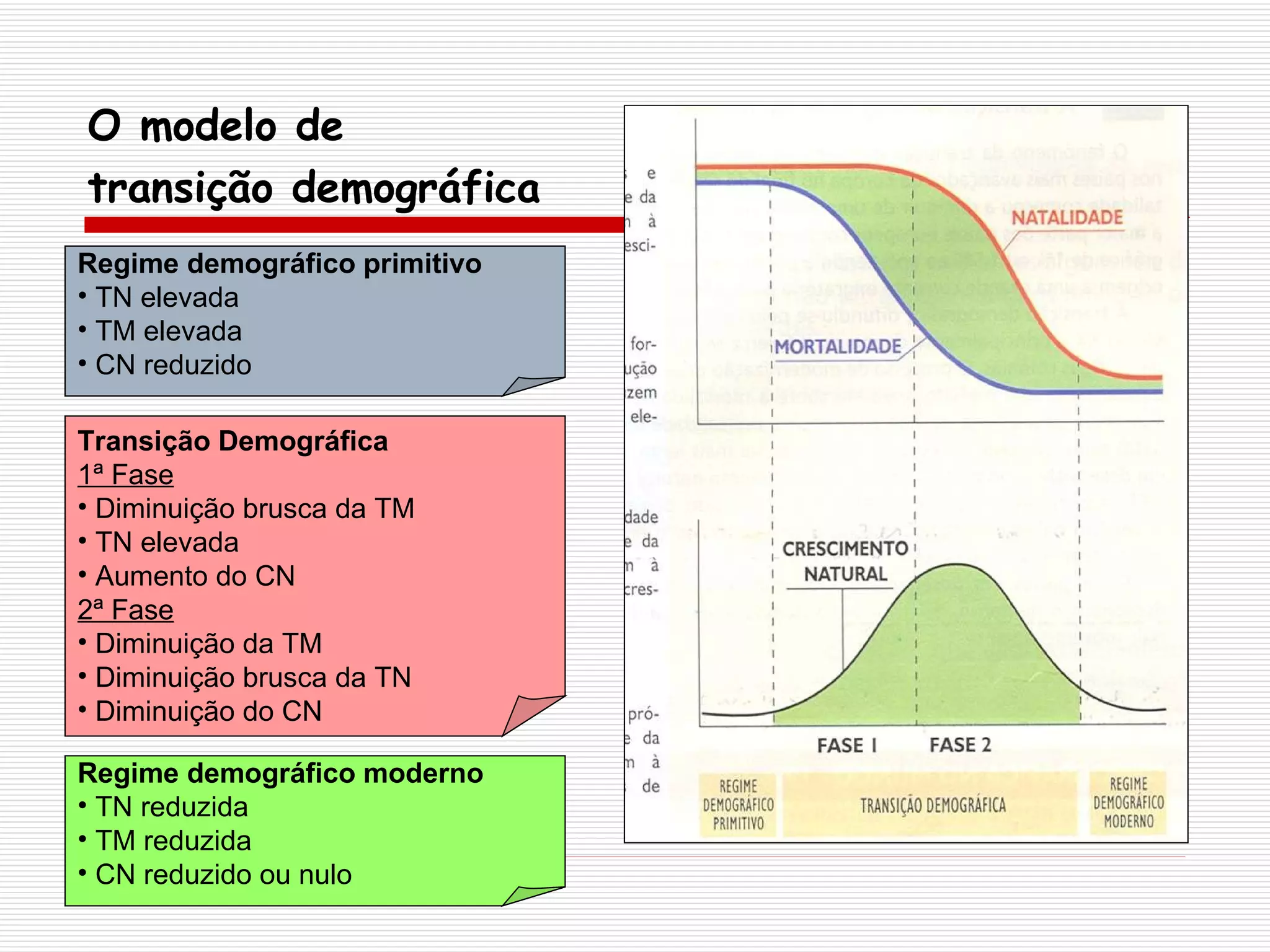 O modelo de  transição demográfica Regime demográfico primitivo TN elevada TM elevada CN reduzido Transição Demográfica 1ª Fase Diminuição brusca da TM TN elevada Aumento do CN 2ª Fase Diminuição da TM Diminuição brusca da TN Diminuição do CN Regime demográfico moderno TN reduzida TM reduzida CN reduzido ou nulo 