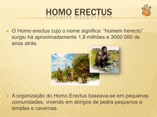 Miguel Fonseca Nº18