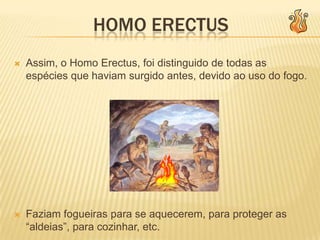 Homo erectusO Homo erectus cujo o nome significa: “homem herecto” surgiu há aproximadamente 1,8 milhões e 3000 000 de anos atrás.A organização do Homo Erectus baseava-se em pequenas comunidades, vivendo em abrigos de pedra pequenos e simples e cavernas.
