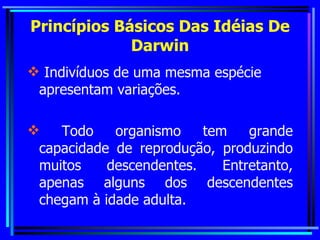 Princípios Básicos Das Idéias De Darwin Indivíduos de uma mesma espécie apresentam variações. Todo organismo tem grande capacidade de reprodução, produzindo muitos descendentes. Entretanto, apenas alguns dos descendentes chegam à idade adulta. 