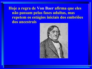 Hoje a regra de  Von Baer  afirma que eles não passam pelas fases adultas, mas repetem os estágios iniciais dos embriões dos ancestrais 