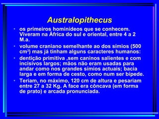 Australopithecus os primeiros hominídeos que se conhecem. Viveram na África do sul e oriental, entre 4 a 2 M.a.  volume craniano semelhante ao dos símios (500 cm 3 ) mas já tinham alguns caracteres humanos:  dentição primitiva ,sem caninos salientes e com incisivos largos; mãos não eram usadas para andar como nos grandes símios actuais; bacia larga e em forma de cesto, como num ser bípede.  Teriam, no máximo, 120 cm de altura e pesariam entre 27 a 32 Kg. A face era côncava (em forma de prato) e arcada pronunciada.  