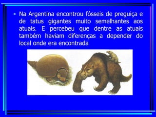 Na Argentina encontrou fósseis de preguiça e de tatus gigantes muito semelhantes aos atuais. E percebeu que dentre as atuais também haviam diferenças a depender do local onde era encontrada 