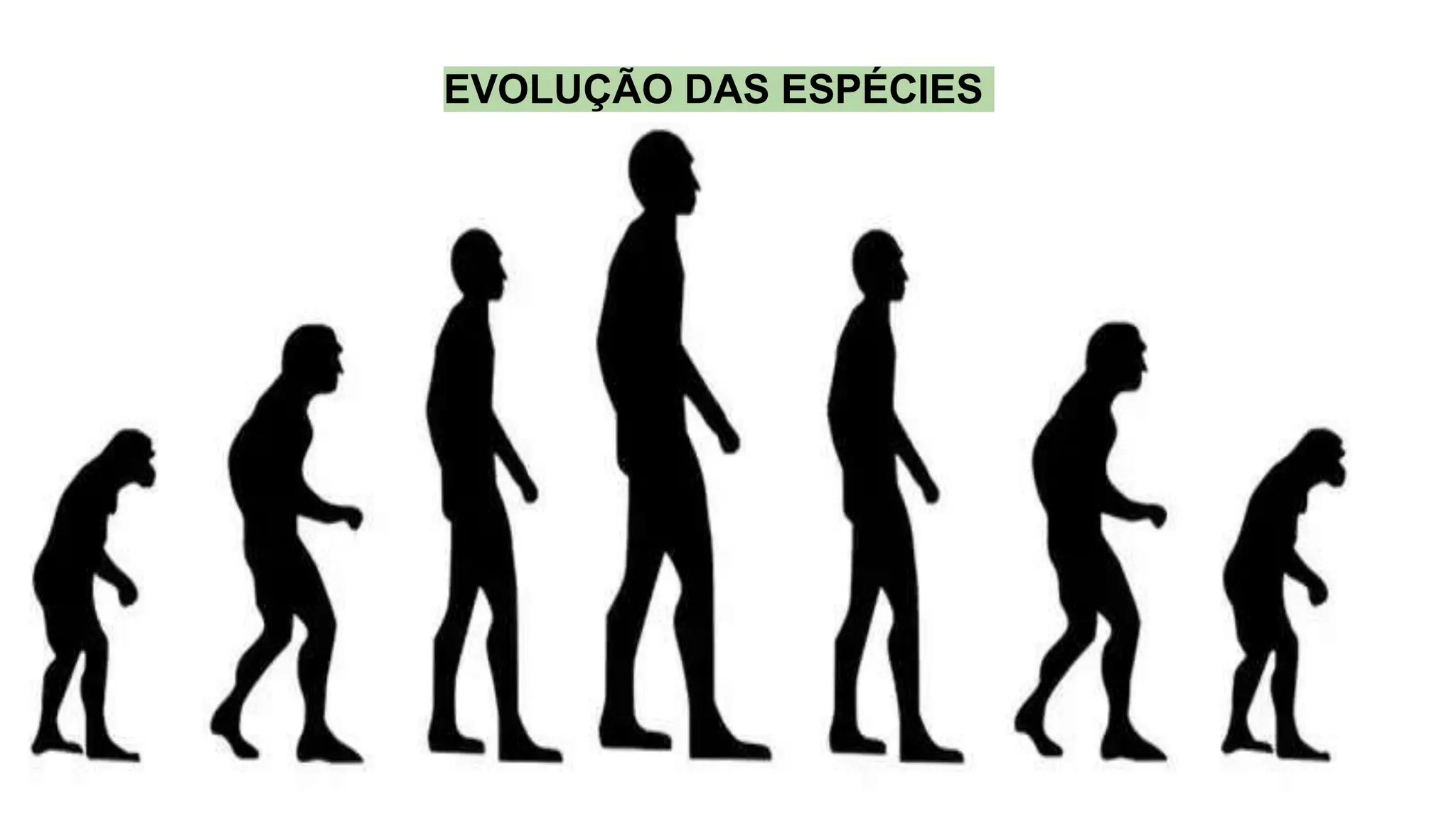Evolução das espécies- Lamarck e Charles Darwin | PPTX