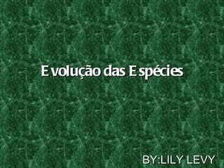 Evolução das Espécies BY:LILY LEVY 
