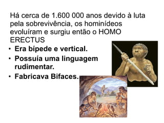 Há cerca de 1.600 000 anos devido à luta pela sobrevivência, os hominídeos evoluíram e surgiu então o HOMO ERECTUS Era bípede e vertical. Possuía uma linguagem rudimentar. Fabricava Bifaces. 