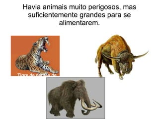 Havia animais muito perigosos, mas suficientemente grandes para se alimentarem. Tigre de dentes de Sabre Mamute Lanudo Bisonte 