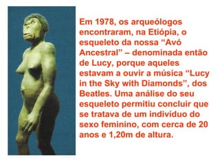 Em 1978, os arqueólogos encontraram, na Etiópia, o esqueleto da nossa “Avó Ancestral” – denominada então de Lucy, porque aqueles estavam a ouvir a música “Lucy in the Sky with Diamonds”, dos Beatles. Uma análise do seu esqueleto permitiu concluir que se tratava de um indivíduo do sexo feminino, com cerca de 20 anos e 1,20m de altura. 