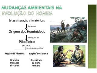 Evolução do homem