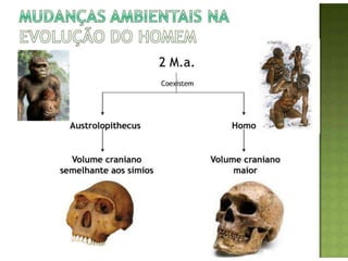 Evolução do homem