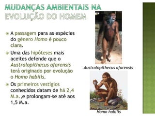Evolução do homem